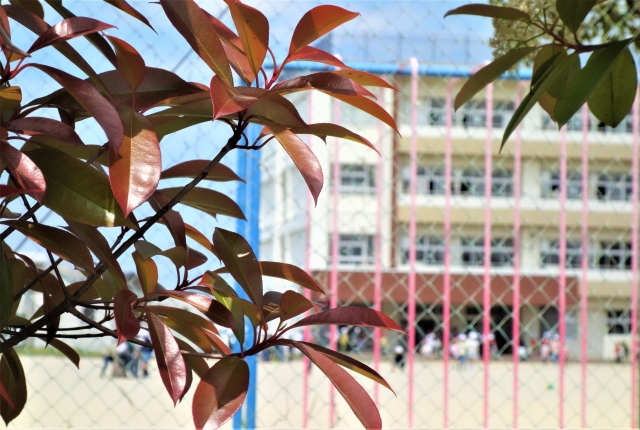 伊丹市にある教育施設の画像